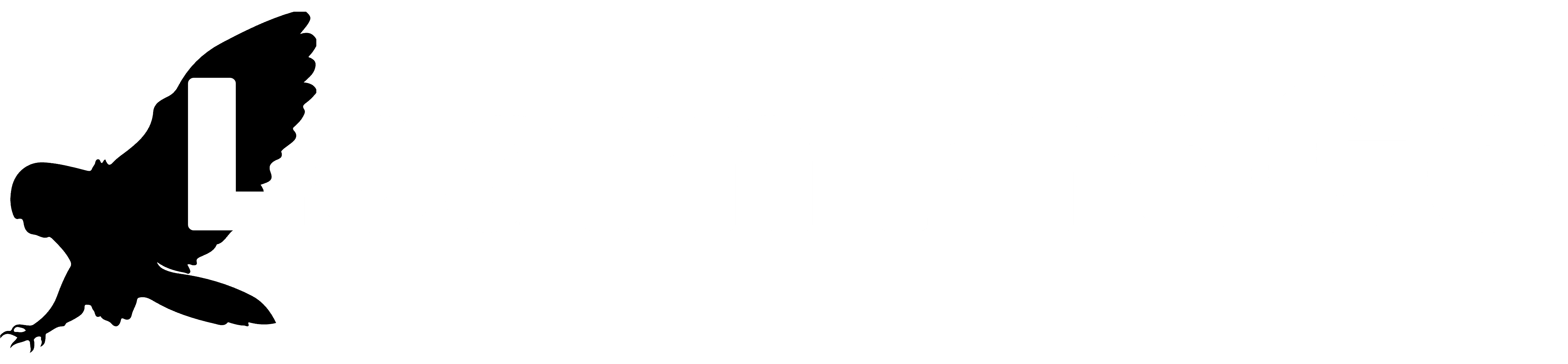 Learn ProGo